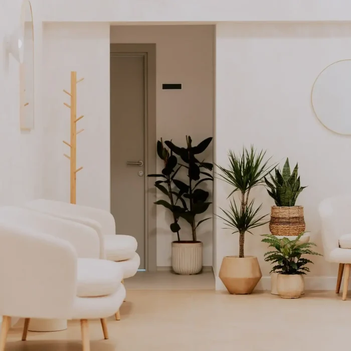 Fibonacci Clinic váró növényekkel és világos ülőhellyel